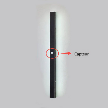 Applique Murale Extérieure LED Métal | IP65 Étanche Régable | NuitSérénité