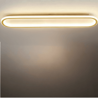 Lumière de Plafond Minimaliste Métal Acrylique | LED SMD IP20 | Série Épure
