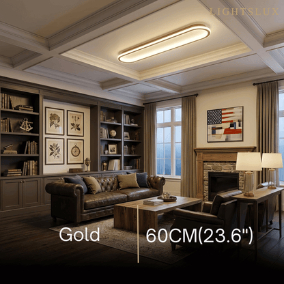 Lumière de Plafond Minimaliste Métal Acrylique | LED SMD IP20 | Série Épure
