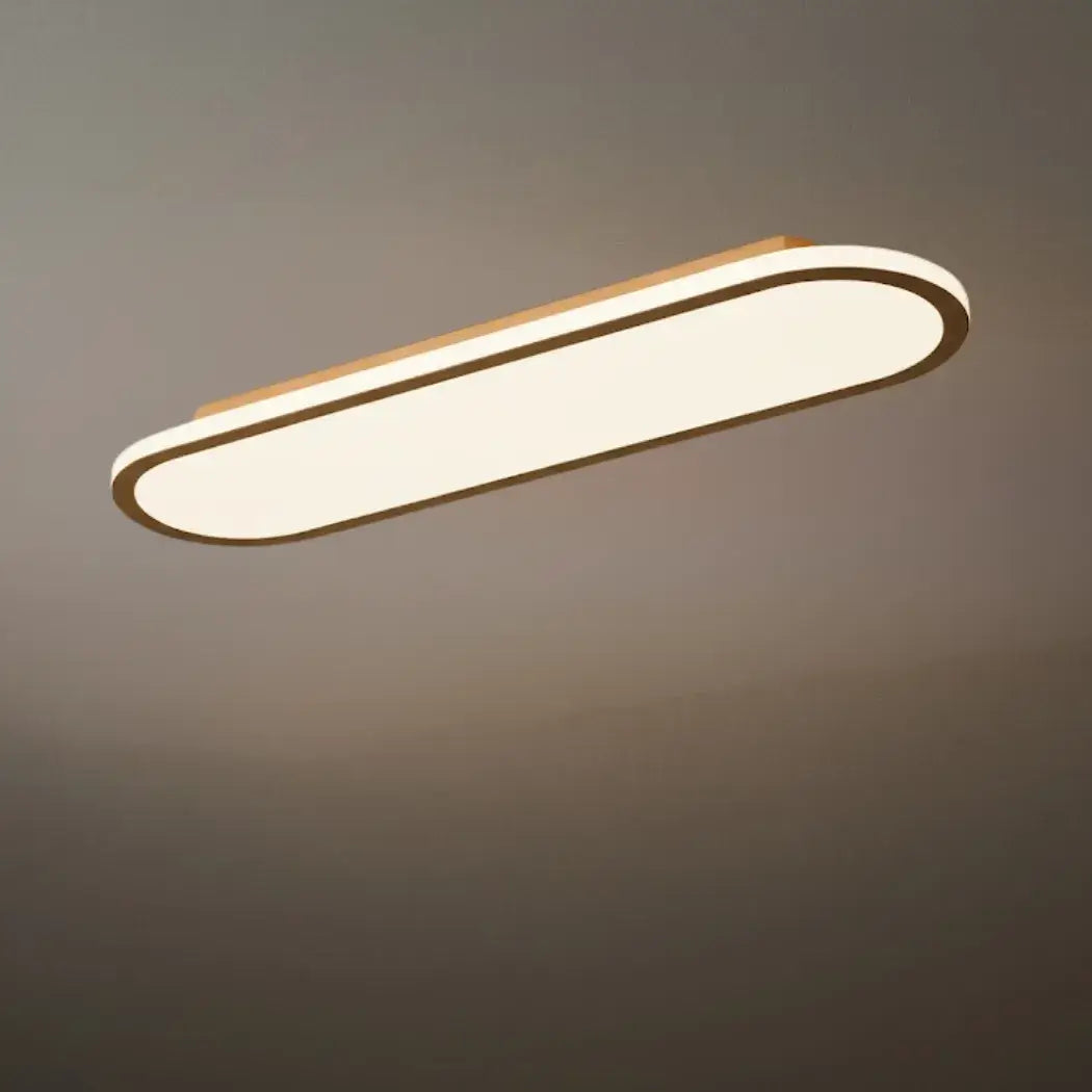 Lumière de Plafond Minimaliste Métal Acrylique | LED SMD IP20 | Série Épure